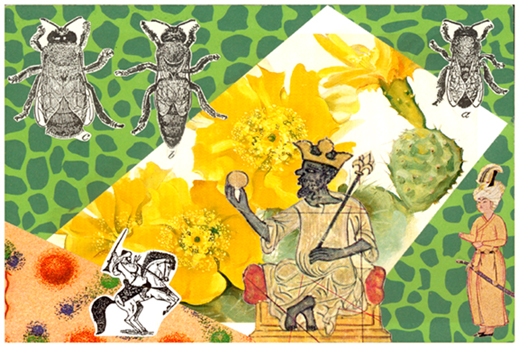 Bee King  1998-99 granny artemis