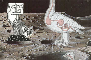 Moon Geese  1998-99 granny artemis