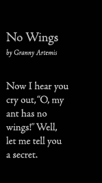 no wings