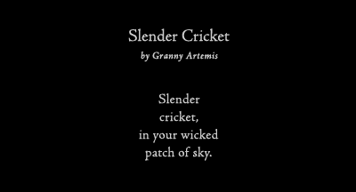 slender cricket